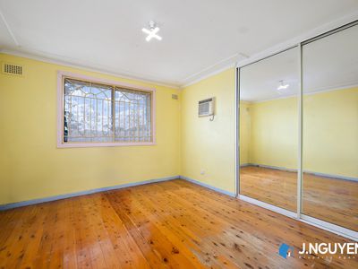 16 Mckibbin Street, Canley Heights