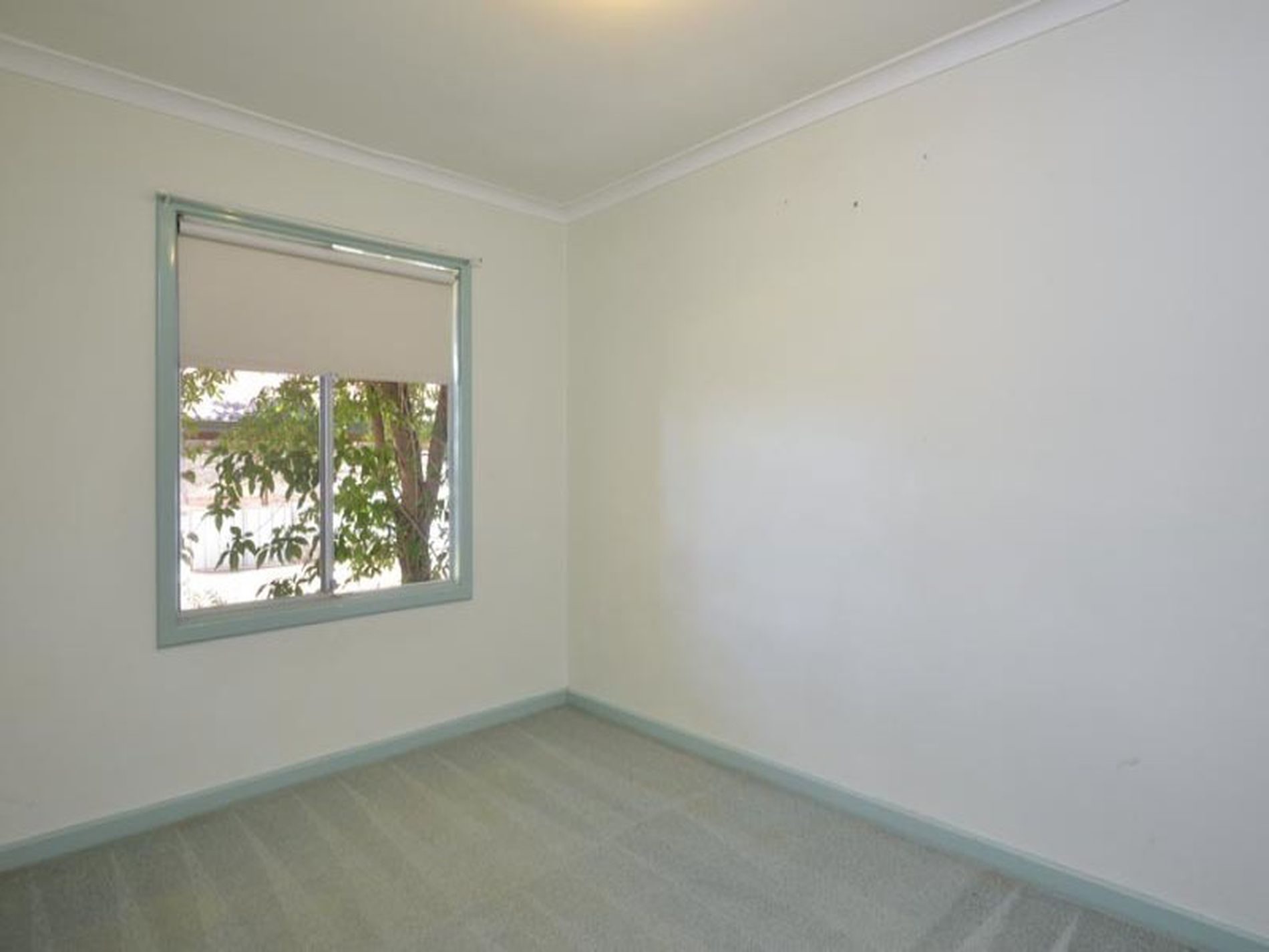 116 Wittenoom Street, West Lamington