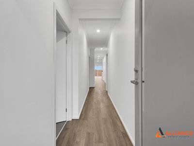 21 Cheddar Street, Donnybrook