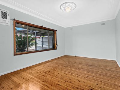 39 Minnegang Street, Warrawong