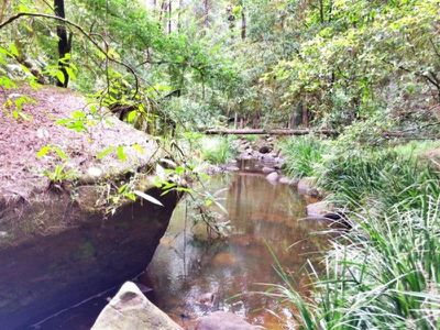 21 Avalon Stoney Chute Road, Stony Chute