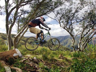 Lot 1, Mt Buller Road, Merrijig