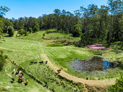 4358 Kyogle Road, Lillian Rock