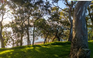 10 Omaru Place, Summerland Point