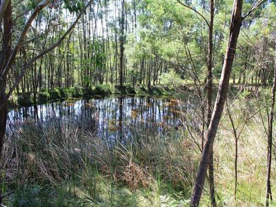 205A Tallowa Dam Rd, Kangaroo Valley