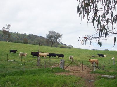1441 Murray Valley Highway, Huon