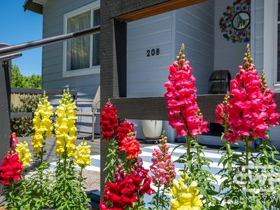 208 Sandon Street, South Guyra