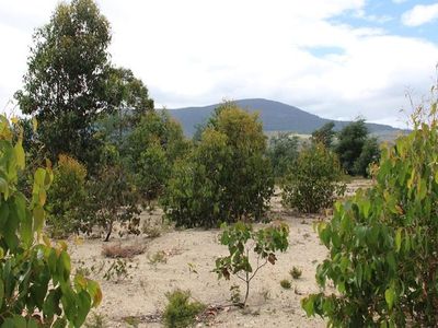 547 She Oak Road, Judbury