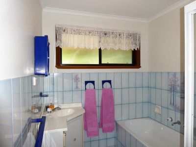 11 Shelton St, Avenel