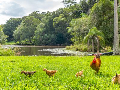 5 / 336 Tweed Valley Way, Wooyung