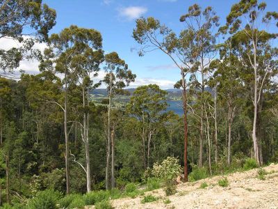 Lot 3 Doodys Hill Road, Port Huon
