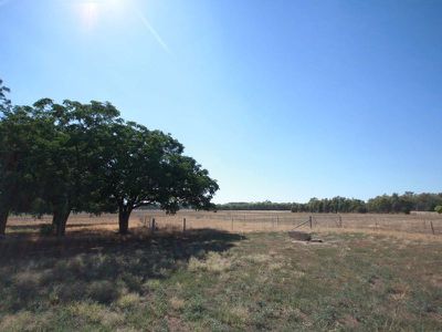Londrigan-Tarrawingee Road, Londrigan