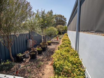 6 Thompson Street, Koondrook
