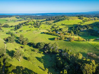 49 Mount Dromedary Trail, Tilba Tilba