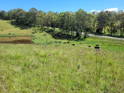 472 Neringla Road, Neringla