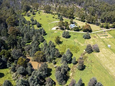 119 Sunday Hill Road, Petcheys Bay