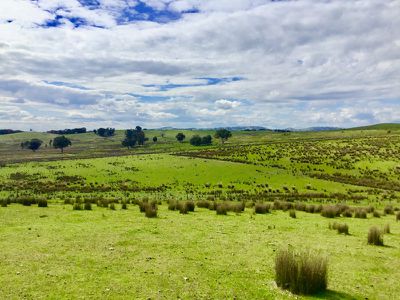 689 Mountain Creek Road, Mullengandra