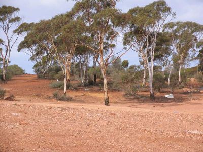 Lot 502 Purna Place, Kalgoorlie