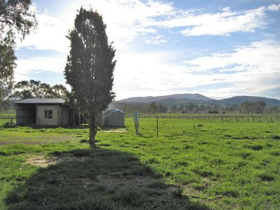 Mansfield