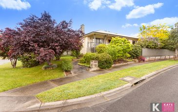 2 McNamara, Pakenham