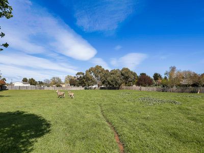 5 Franklin Street, Campbell Town