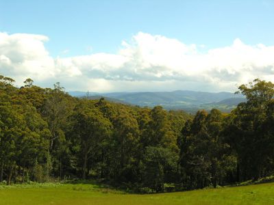 Lot 5 Misty Hill Road, Mountain River
