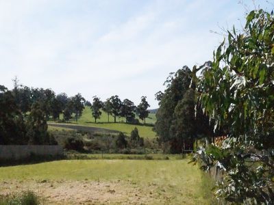 2 Deveraux Court, Cygnet