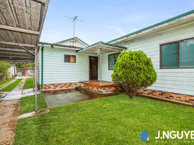 67 Beckenham Street, Canley Vale