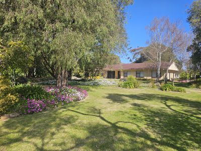 167 Williams Road, Millicent