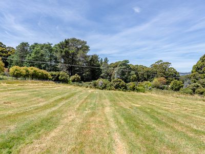 44 McDowall Street, Middleton