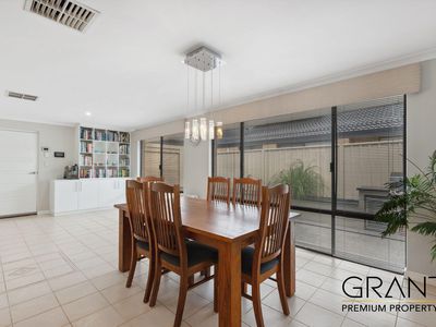 51 Jackadder Avenue, Hammond Park