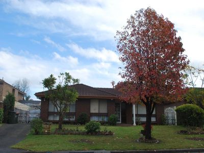 47 Windsor Crescent, Brownsville