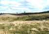 * 171 Shepherds Creek Rd, Euchareena Via, Orange