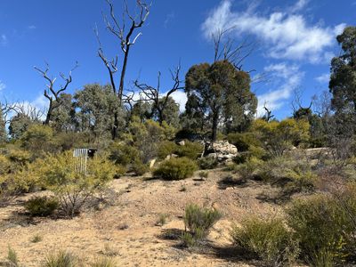 454 Cainbil Road, Coolah