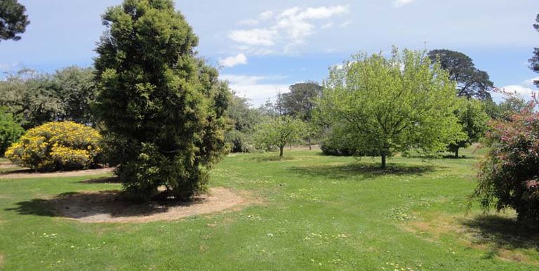 6 Creamery Road, Ruffy