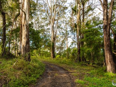759 Old Highway, Narooma