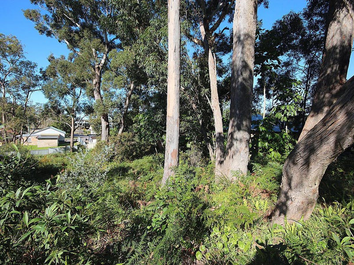 8 Geer Close, Lemon Tree Passage, Lemon Tree Passage - Thumbnail 2
