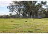 324 Dripstone Road, Neurea