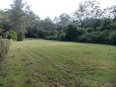 Palm Grove