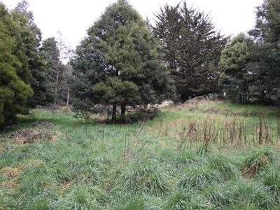 Lot 5 Cairns Road, Surges Bay