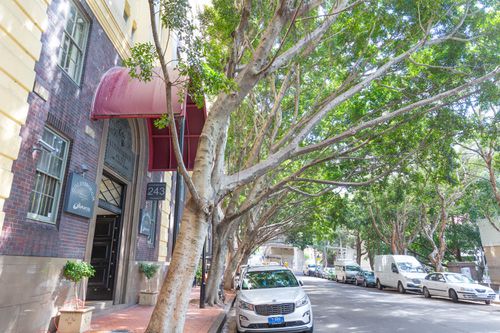 923 / 243 Pyrmont Street, Pyrmont