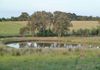 94 Underwood Road, Orange