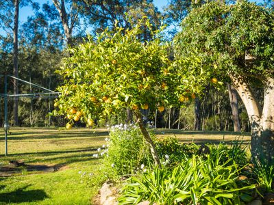 950 Wagonga Scenic Drive, Narooma