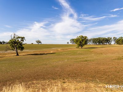 1305 Mooree-Culla Road, Culla