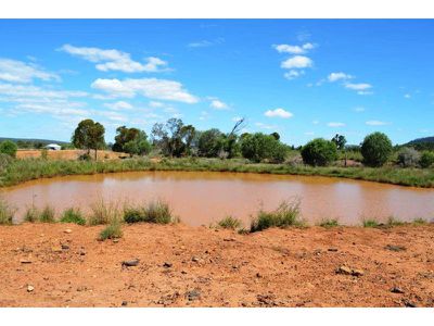 8299 Oxley Highway, Gunnedah