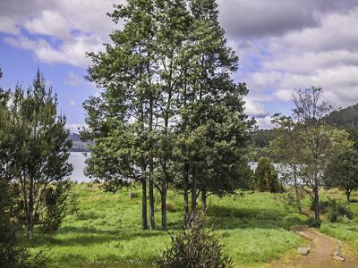 4080 Huon Highway, Castle Forbes Bay
