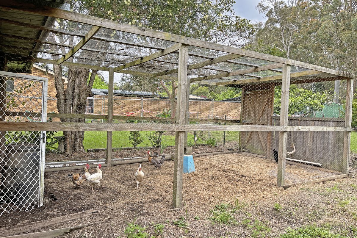 6 Euroka Road, Taree