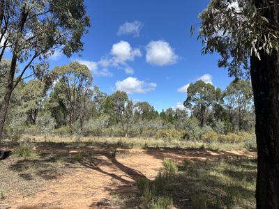 572 Box Ridge Road, Binnaway