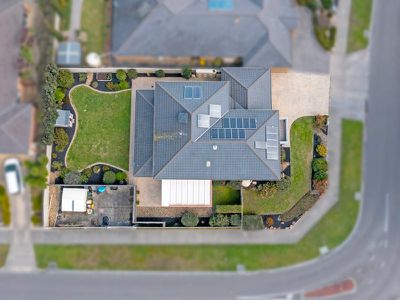 24 Black Wallaby Drive, Langwarrin