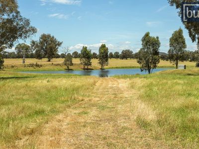 136 Sargeant Road, Table Top